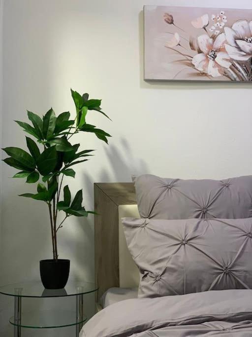 Studio Central Mm Apartments Брашов Екстер'єр фото