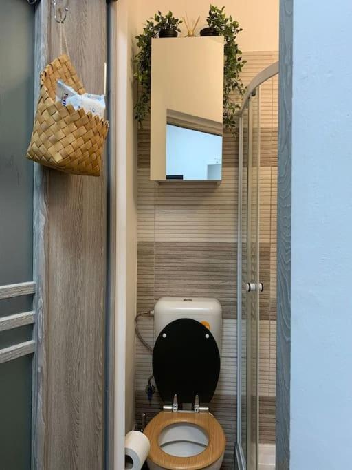 Studio Central Mm Apartments Брашов Екстер'єр фото