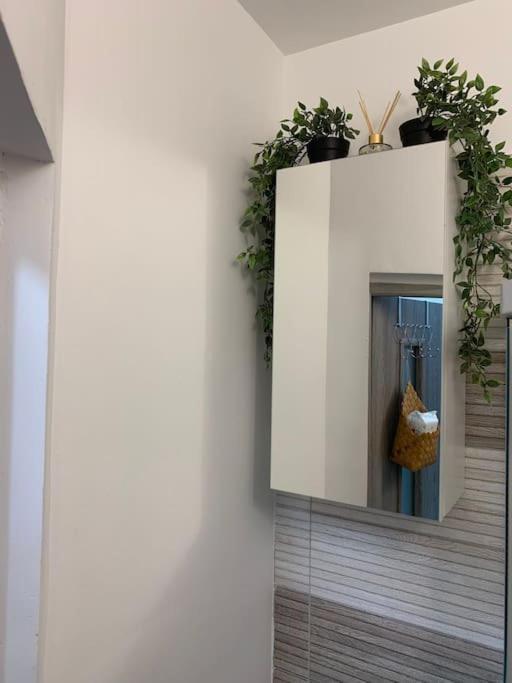 Studio Central Mm Apartments Брашов Екстер'єр фото